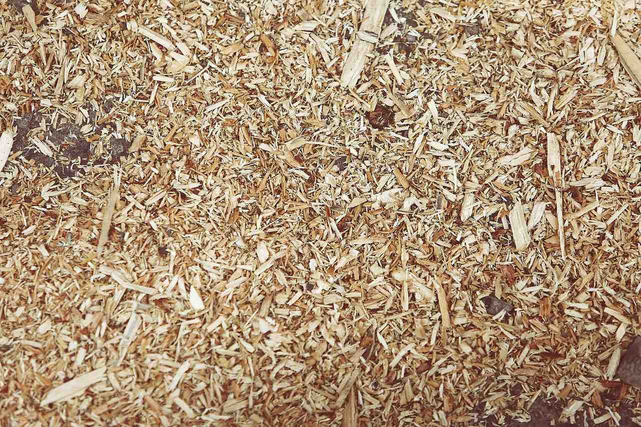 Jangan Sepelekan, Inilah Manfaat Serbuk Kayu Yang Perlu Diketahui
